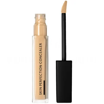 Skin Perfection Concealer